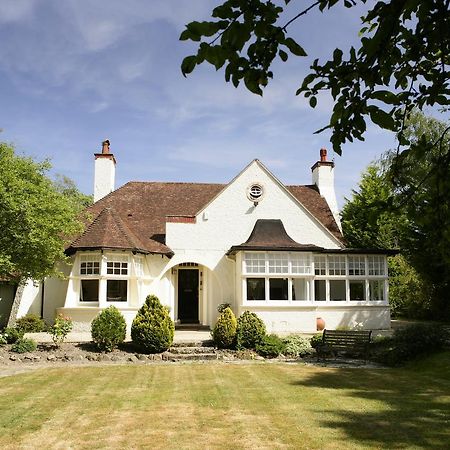 Daisybank Cottage Boutique Bed And Breakfast Brockenhurst Ngoại thất bức ảnh